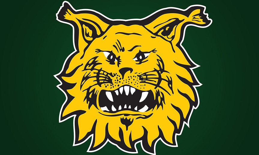 etusivu-default-uusi.jpg__863x516_q85_box-0,29,1200,749_crop_detail_subsampling-2